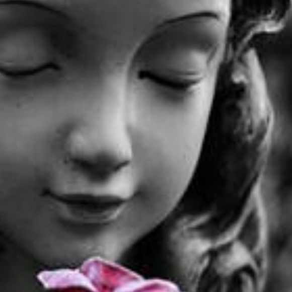 Meet your Posher, Angelina - Picture 1 of 1